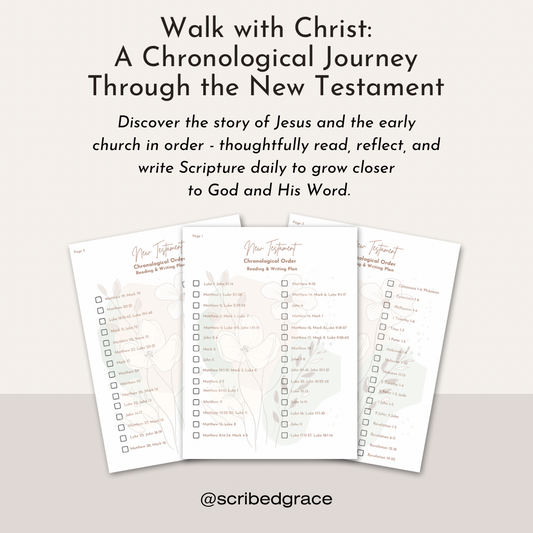 New Testament Chronological Reading and Writing Plan
